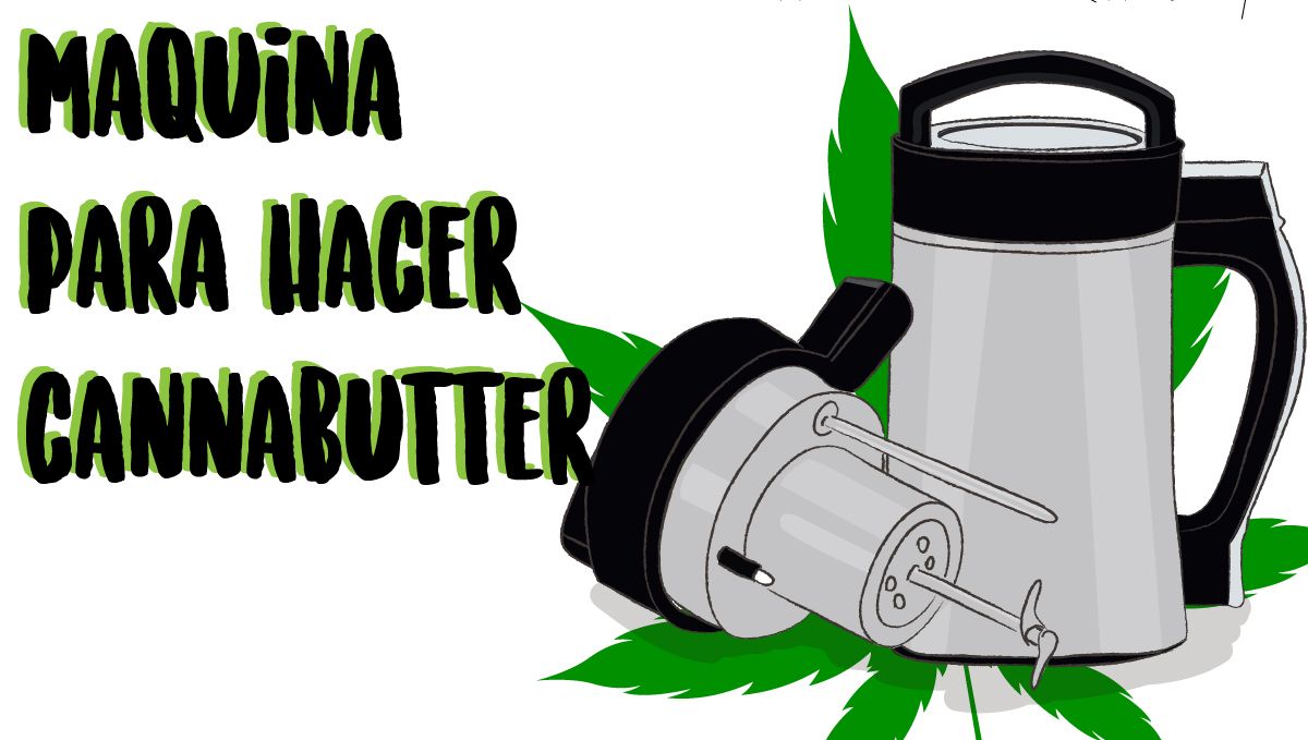Si no quieres arriesgarte a arruinar tus cogollos, o consumes comestibles con frecuencia, ¡quizás una máquina de mantequilla de cannabis sea perfecta para ti! Si no quieres arriesgarte a arruinar tus cogollos, o consumes comestibles con frecuencia, ¡quizás una máquina de mantequilla de cannabis sea perfecta para ti!
