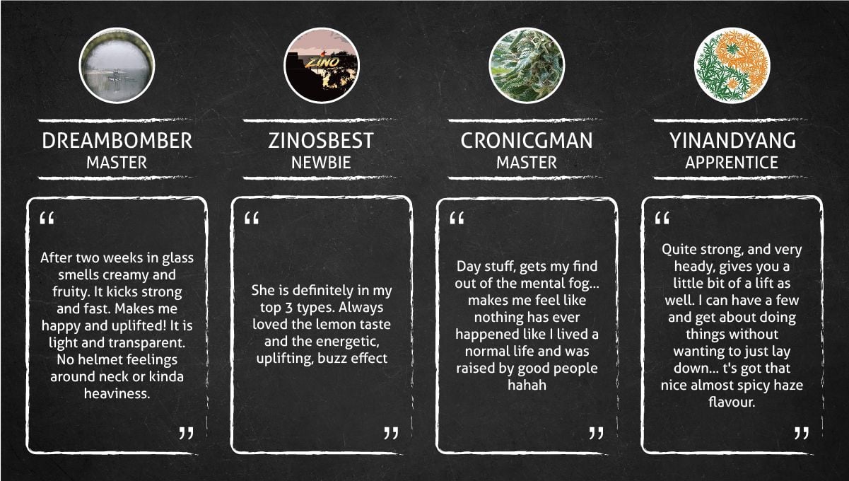 Super Lemon Haze Auto cannabis strain: smokers’ quotes