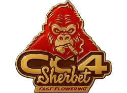 GG4 Sherbet FF logo