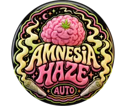 Amnesia Haze Auto logo