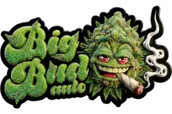 Big Bud Auto logo