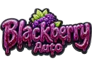 Blackberry Auto logotype