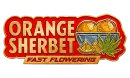 Orange Sherbet FF logotype