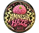 Amnesia Haze Auto logotype