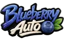 Blueberry Auto logotype