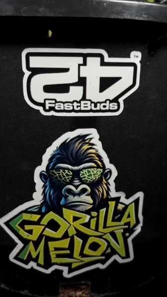 Discord Winner December 1