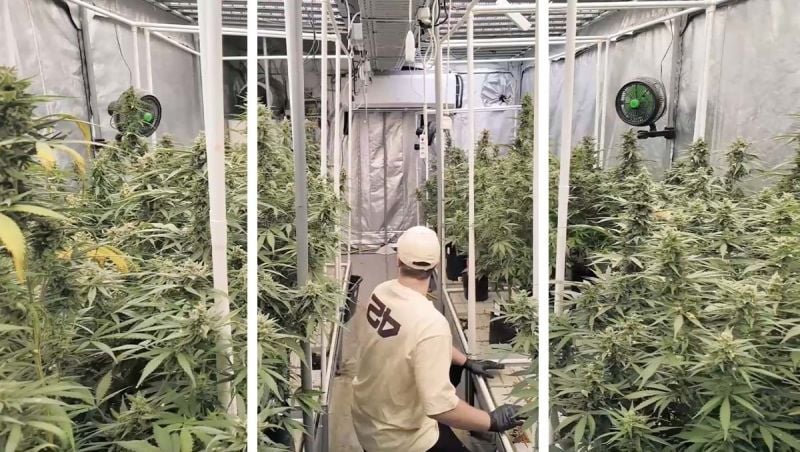 DJI_20260308122005_0005_D Optim