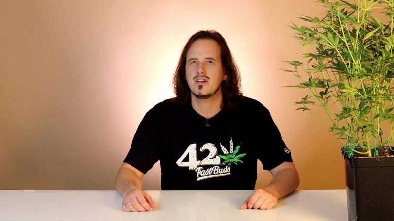 Gorilla Cookies Auto