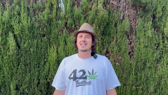 OUTDOOR GROWING 5 Tips to grow big Buds outside Guerilla and in your backyard