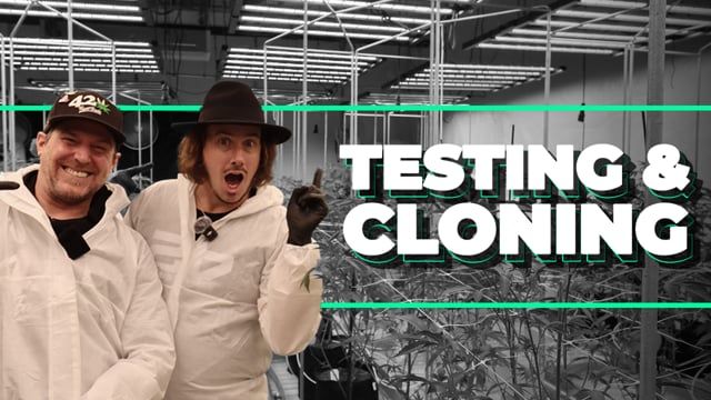 Testers and Clones | Inside the Fast Buds Breeding Facilities