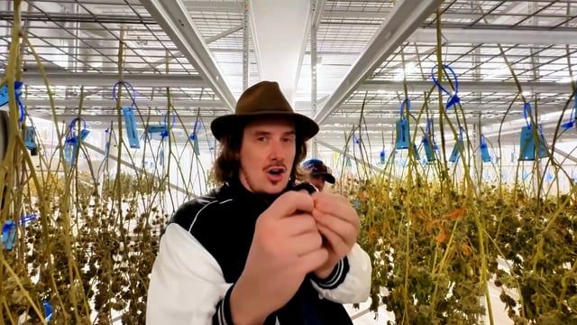 Visiting Bald Peak Farm in Oregon