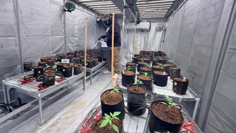 2026-02-03 Amnesia Mothers 