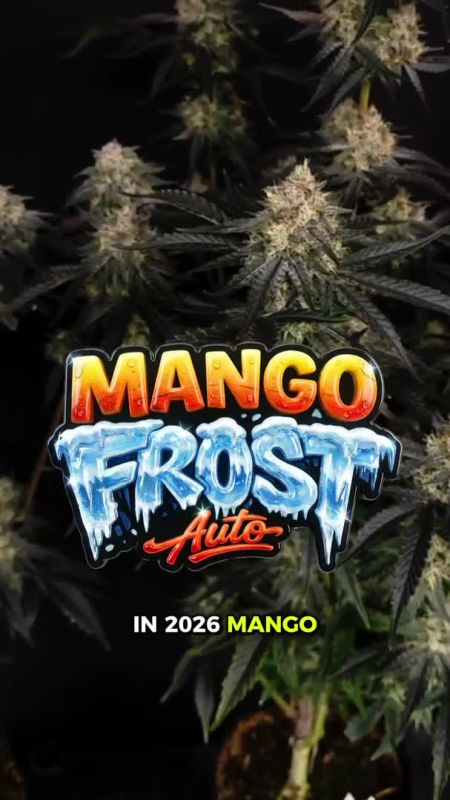 Mango Frost Eng Upd Cover + Order