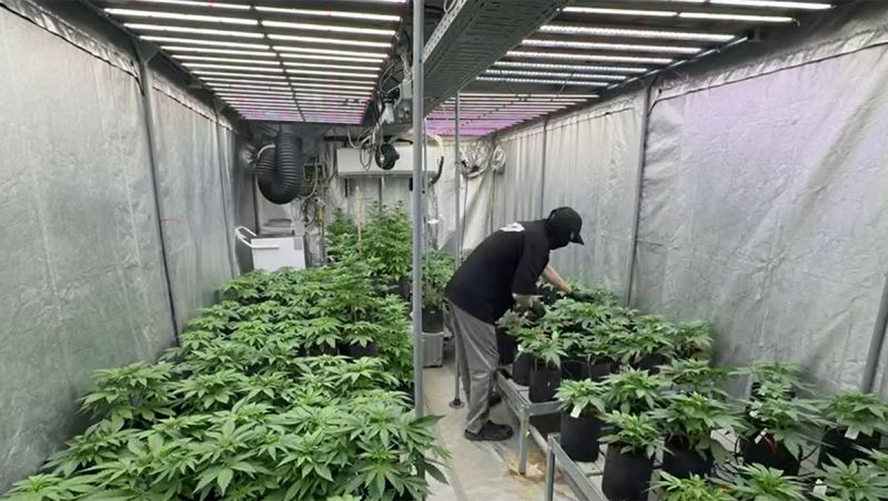 document_5854917327920832702