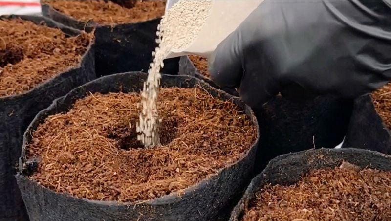 Adding Mykos horiz-1