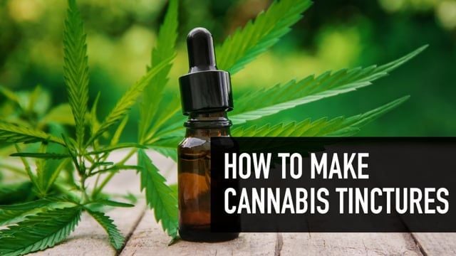 How to make Cannabis Tinctures