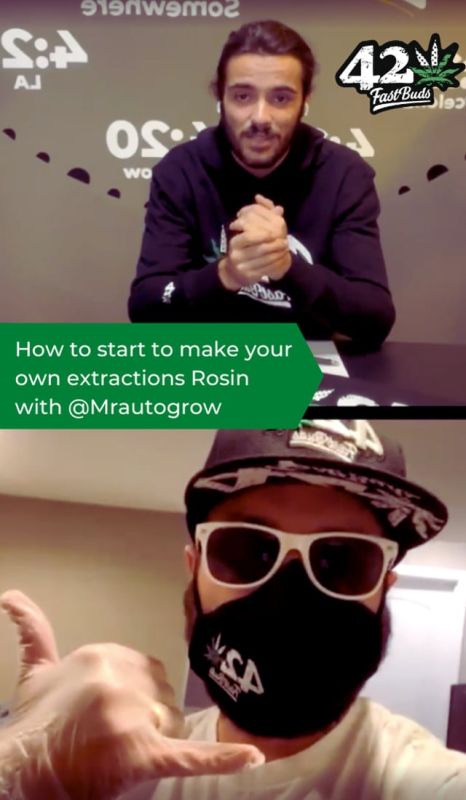 How to start to make your own Extractions Rosin With MrAutoGrow