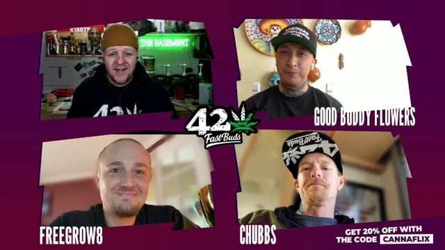 American Autoflower Cup Winners