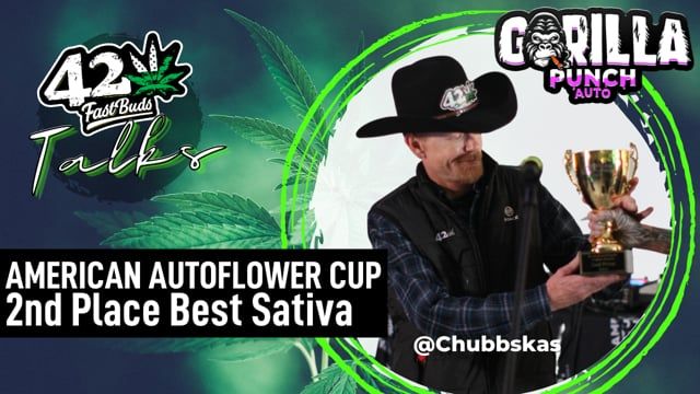 American Autoflower Cup 2nd Best Sativa - Gorilla Punch by Chubbs | Fast Buds Talks