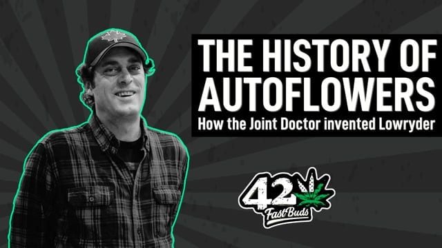 The history of Autoflowers - How the Joint Doctor created Lowryder - Fast Buds Talks
