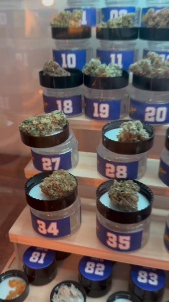 Checking out strains at AAC