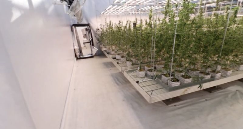 Breeding Facilities Part 1