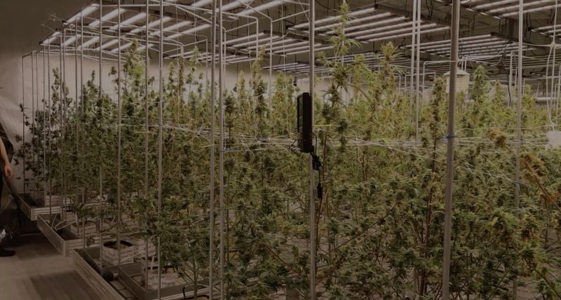 Breeding Facilities Episode 2