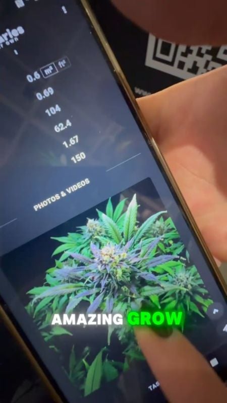 GG Sherbet FF at Mary Jane Berlin