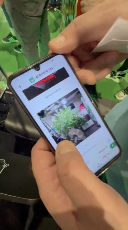 Purple Lemonade FF at Mary Jane Berlin 2024