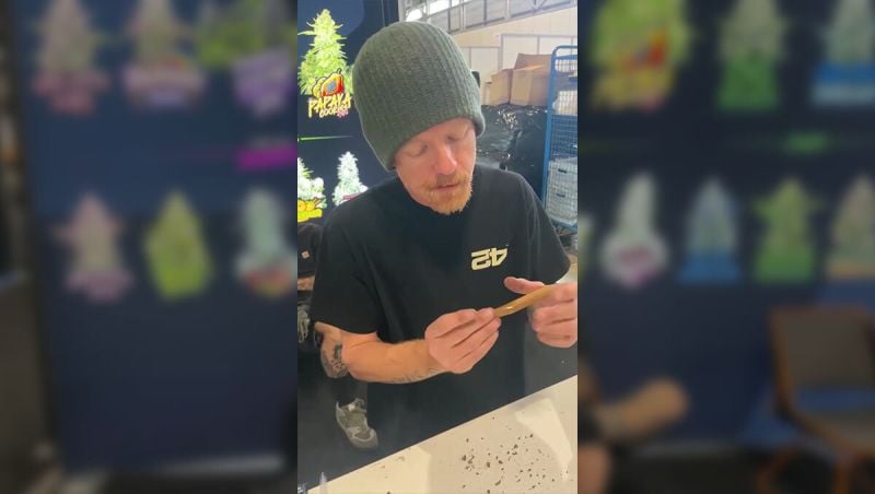 Video 1 - Mary Jane 2026- Chubbs 