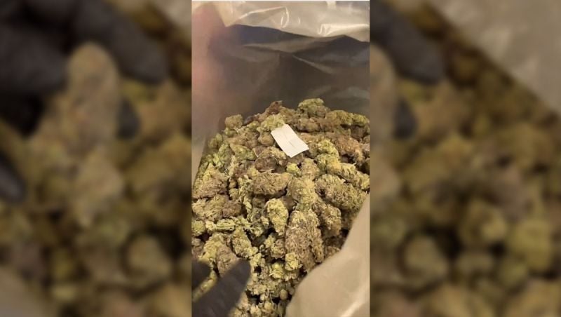 The Side of Breeding No One Shows