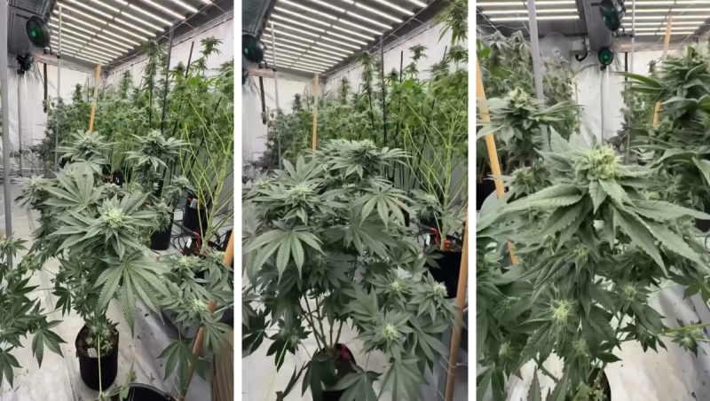 SnapInsta.to_AQPLts-UkpF31E3IPCxtkmcz5VaseEQG8NfLB66aYF0vk8sTxrSQGiylNmd5Cotwfe5yTBKqSCR-yKBywcivSjfn (1)