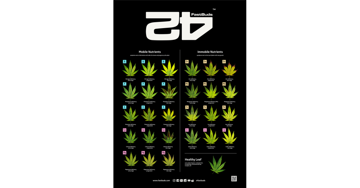 fast poster