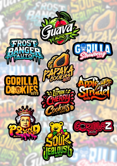 Photo of Mix Pack Auto