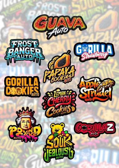 Photo of Mix Pack Auto