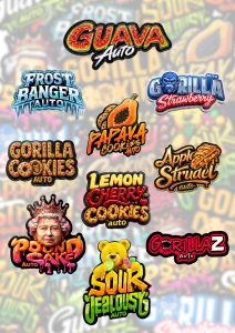 Photo of Mix Pack Auto