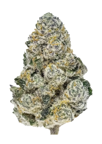 Lemonpaya™