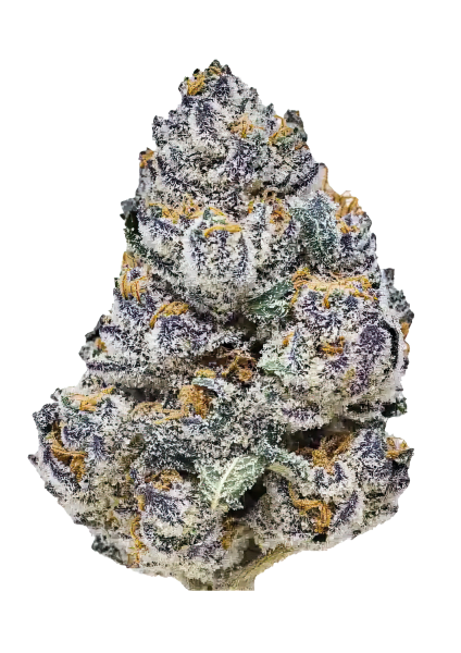 Rainbow Melon cannabis strain by Fast Buds