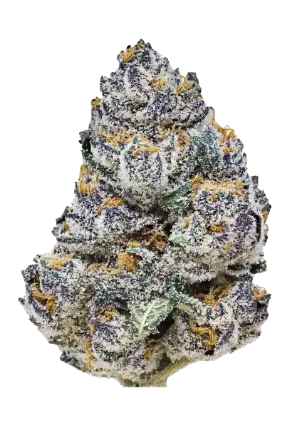 Photo of Rainbow Melon