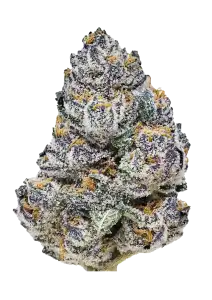 Photo of Rainbow Melon