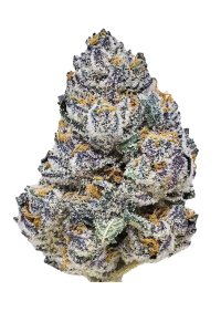 Rainbow Melon™