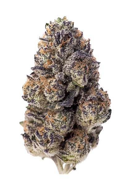 Papaya Sherbet