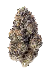 Photo of Papaya Sherbet