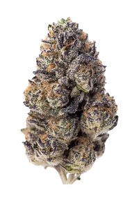 Papaya Sherbet™