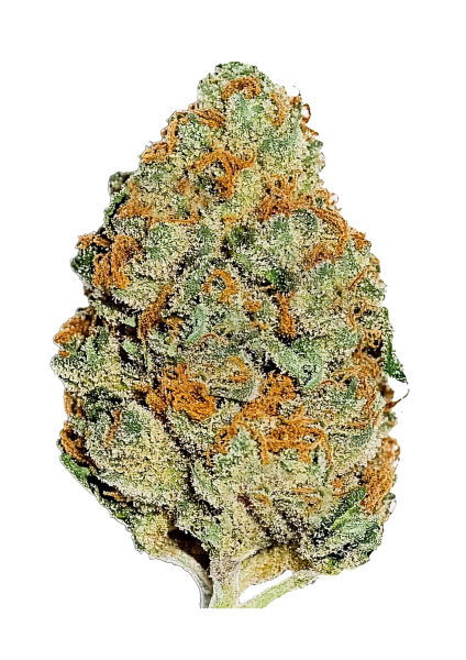 Lemon Mandarin