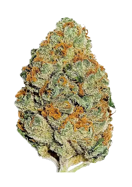 Photo of Lemon Mandarin