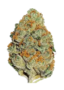Photo of Lemon Mandarin