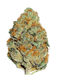 Lemon Mandarin™