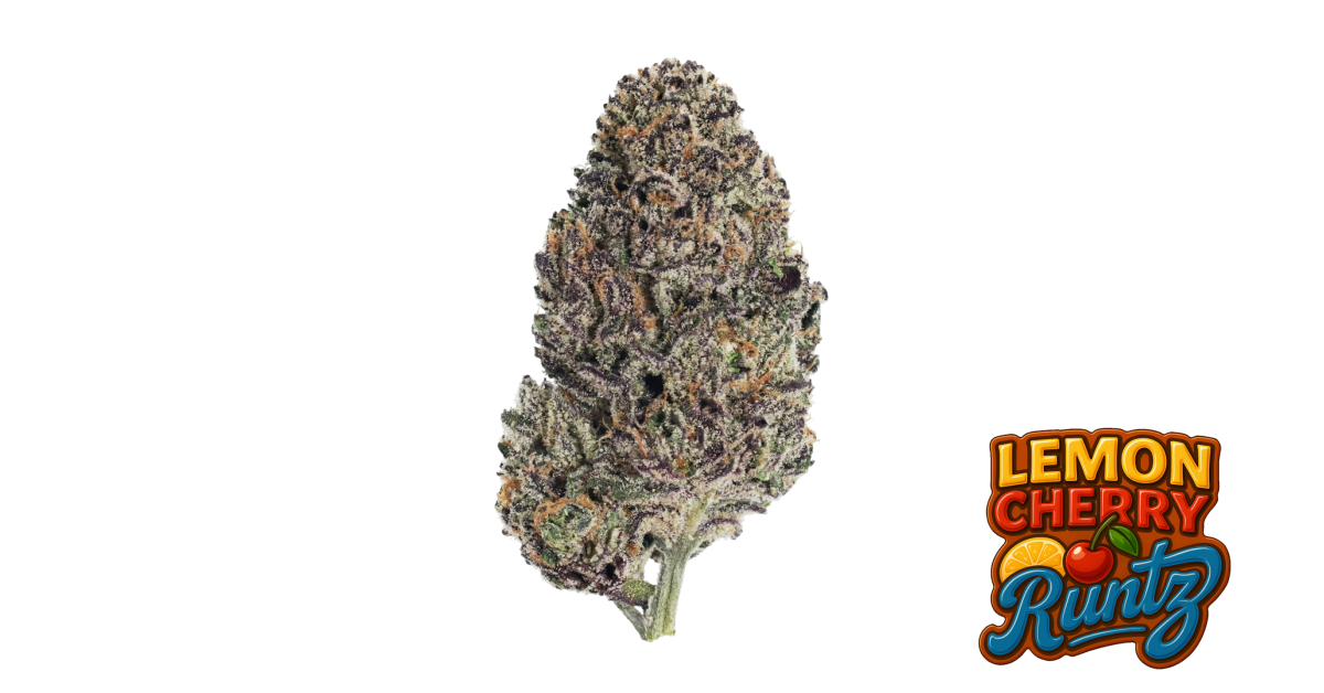 Lemon Cherry Runtz 3er Fast Buds