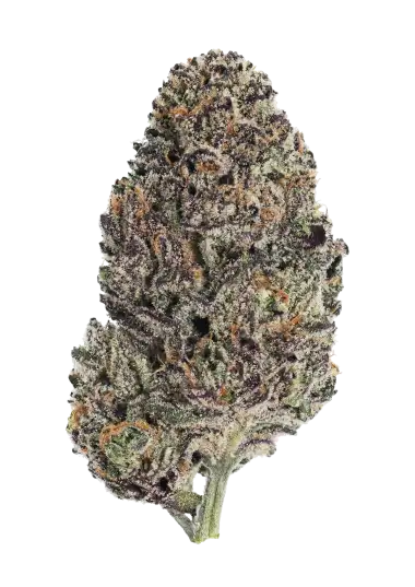 Photo of Lemon Cherry Runtz